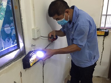 佛山防治白蚁中心白蚁灭治工作为什么要定期检查