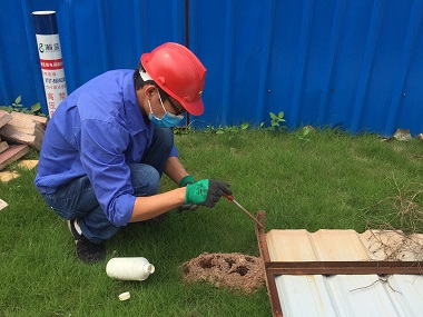 高明杀灭红火蚁公司红火蚁的危害及防治措施