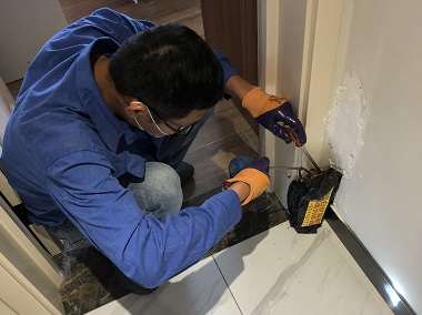 南海验收白蚁所——怎么知道家中有无白蚁?