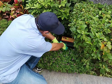 顺德除四害机构外环境专用灭鼠器优势