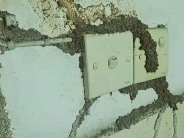 高明白蚁备案机构防治白蚁有三个步骤来防备