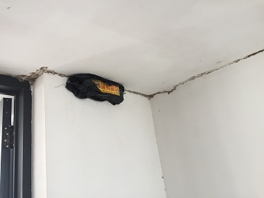 禅城专业治白蚁公司如何排查自家有没有蚁巢