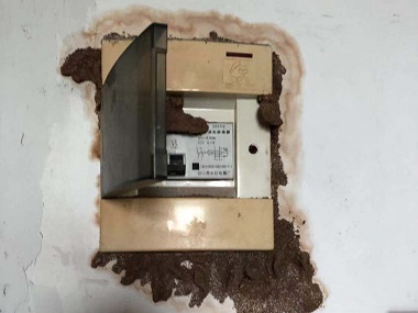 顺德白蚁预防中心房屋建筑灭治白蚁危害的方法
