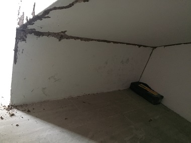 禅城白蚁防治所——卫生间容易招白蚁吗？