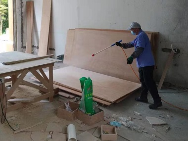 佛山白蚂蚁消杀机构装修预防白蚁处理的方法